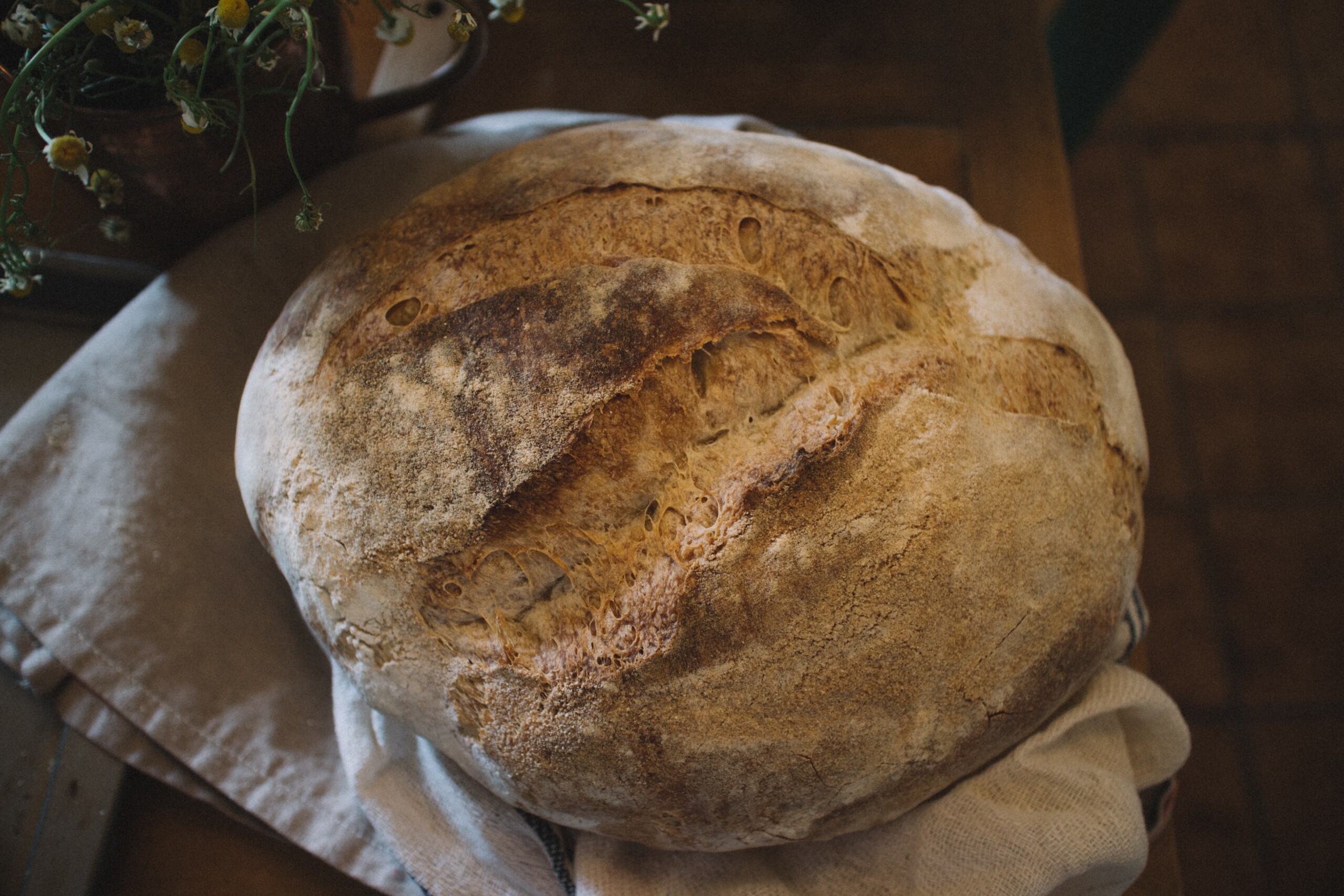 Pâine integrală organică